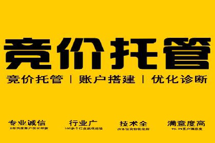 行业案例：如何通过SEM推广优化提升品牌知名度
